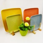 Microgroove multicolor customize logo vintage ceramic square dinner plates for serving