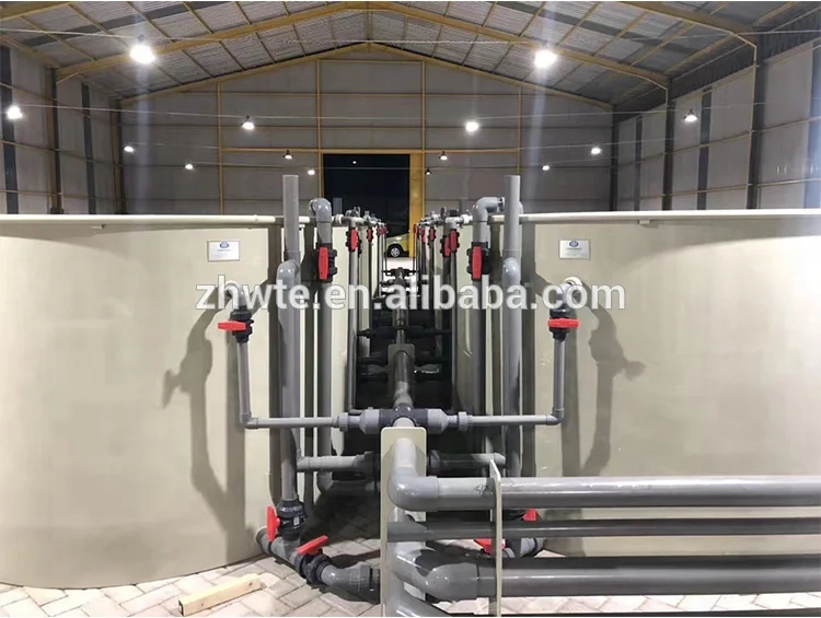 twerp,frump cultuur ras systemen, recirculeren aquacultuur systeem ontwerp
