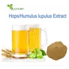 /product-detail/top-grade-humulus-lupulus-extract-xanthohumol-2-5-low-price-beer-hops-powder-60679348929.html