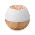 Electric Home Fragrance Ultrasonic Aroma Portable Mist Aromatherapy Diffuser Humidifier