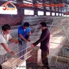 Alibaba industrial Chicken farm / layer poultry cages for kenya farms / farm land hyderabad