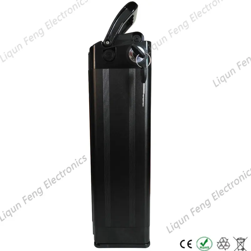 Silver-fish-black-19-1