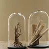round wood custom holder display wooden Micro-landscape decoration holder