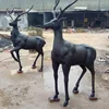 /product-detail/life-size-antique-bronze-casting-metal-sika-silver-deer-sculptures-60821260379.html