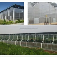 Manufacturer Agriculture Greenhouse Of Hot