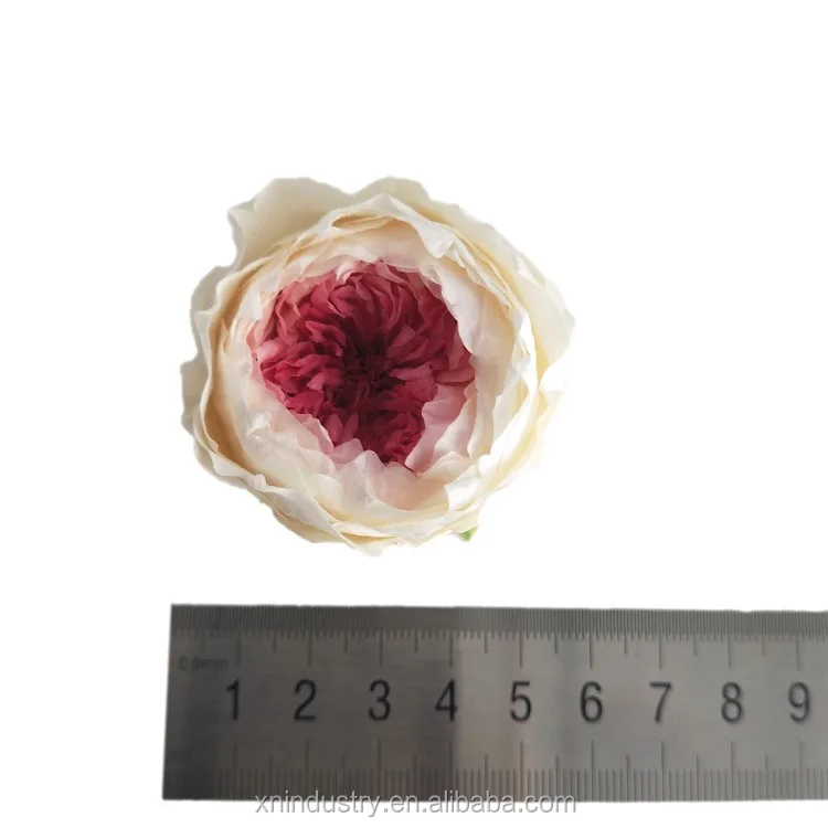 2019 popular gift white&green preserved fresh rose
