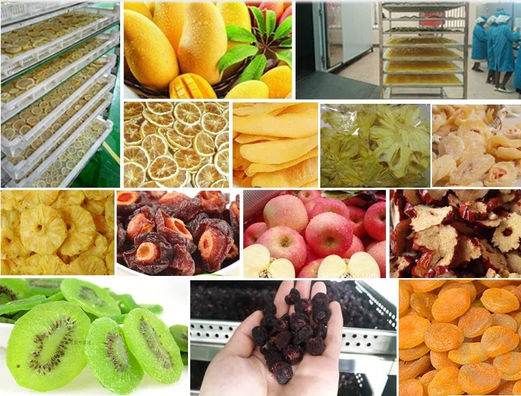220V electrical apples hot air circulation drying oven machine dryer dehydrator in China