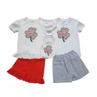 Bulk wholesale kids clothing set summer clothes embroidery boutique girl clothing set with pet dog clothes