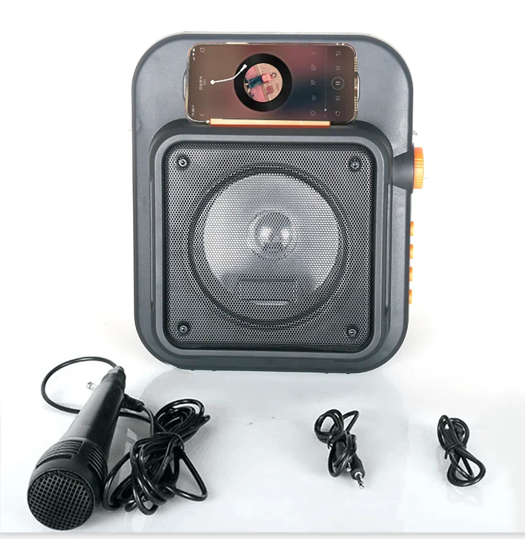 Perfect sound 6.5inch portable outdoor speaker with fm radio - ANKUX.COM