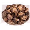 /product-detail/xiang-gu-best-price-high-quality-natural-dried-magic-porcini-mushrooms-shiitake-62013153604.html