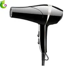 Wholesales HOT SELLING Professional AC Motor Hair Dryer with Consentrator/Diffuser/Ionic Function,Power:1200~1800W