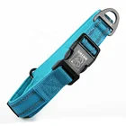 Pet Production Manufacture Supplies led dog collar custom