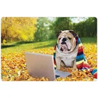 Amazon Top Seller 2019 Shock Mat Protection Rubber Pet Bowl Snuffle Mat