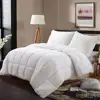 Luxury Down Alternative Quilted Queen Comforter-Stand Alone Comforter with 4 Corner