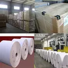 High Quality and Competitive Woodfree offset Paper
