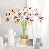 /product-detail/butterfly-plant-home-wedding-party-decor-real-touch-artificial-latex-orchid-flower-62138666521.html
