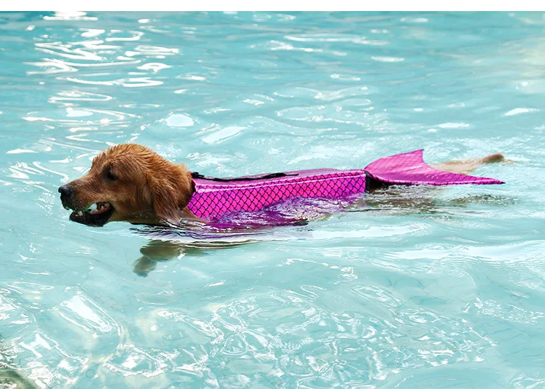 5974637926_1832331281