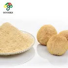 Special Grade Hericum erinaceus powder