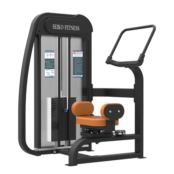 rotary torso gym equipment / fitness rotary torso appliance