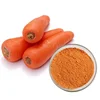 /product-detail/supply-best-quality-carrot-extract-60196564663.html