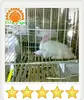 /product-detail/3-layer-welded-rabbit-cage-direct-factory--1311163939.html