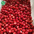 iqf frozen strawberry dice and frozen fresh strawberry