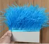 Factory wholesale Ostrich artificial trimmings for Colth or Decoration custom color ostrich feather