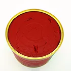 oem brand tomate ketchup bulk super sweet wholesale tomato paste