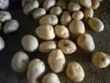 /product-detail/potato-export-potato-seeds-potato-price-60643786164.html