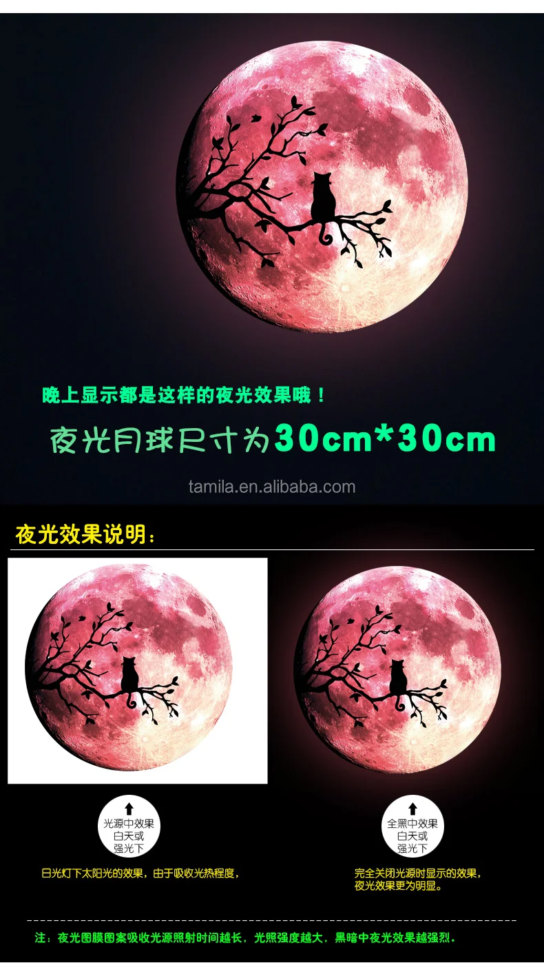 Y0049 (9).jpg