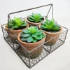 /product-detail/home-concrete-potted-mini-cactus-succulent-plants-decoration-62129736411.html