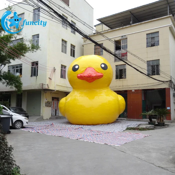 d.jpg