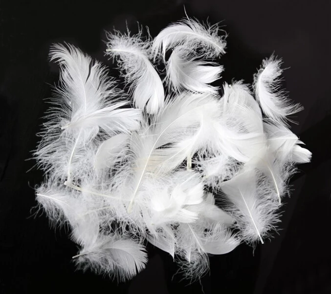 Washed Goose Feather/goose Down/feather Down Buy Washed White Goose