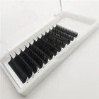 classic lashes .03 .05 .10 .15mm oem packaging eye Private label eyelash extension individual lashes
