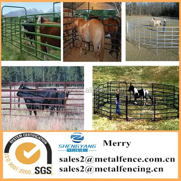 Tubulaire en métal bovin/vache/cheval rails de clôture galvanisé panneau de clôture de ferme de bétail