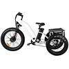 36V/48V 250W/350W/500W vehicle fat tyre cargo tricycle electric trike