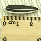 Wholesale Sunflower Seed For Human Eat