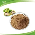 100% Natural Water-soluble organic Noni Juice Enzyme Powder in Health Benefit