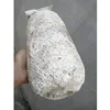 White color Oyster mushroom log price