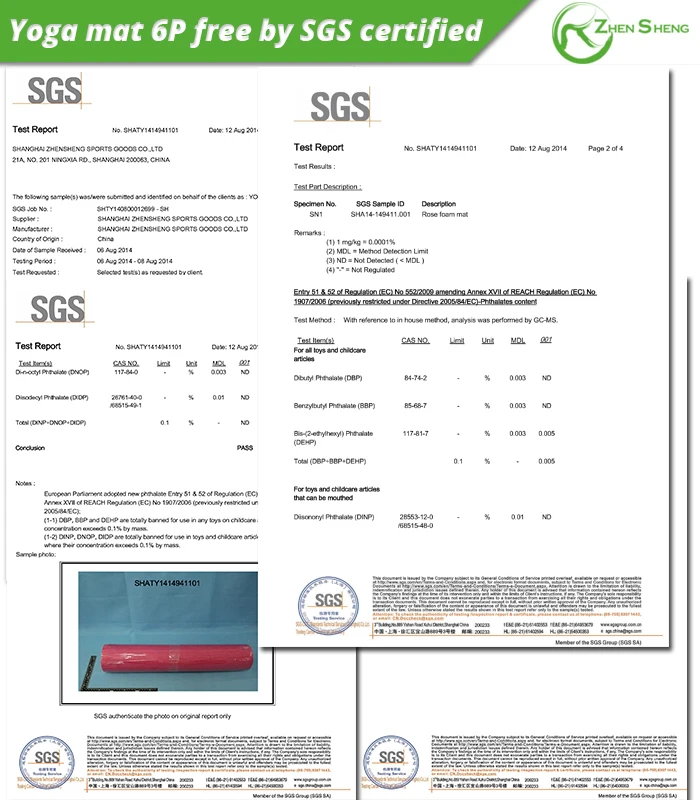SGS testing 6P free.jpg
