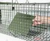 New style Haierc Foldable Live Animal Control Trap Cage HC2613S1-F
