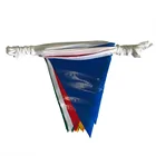Multicolor Promotional PE Pennant Safety Flags/Triangle Pennant Flag