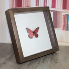 2018 Manufacturer custom High Quality Wood Material Butterfly Specimen Photo Picture Frame