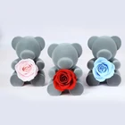Hot sale real natural sitting bear preserved flower bear gift box