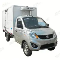 Mini Refrigerator Cold Freezer Transport Truck