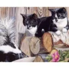 Black cats play games 5d diamond painting kit oil canvas painting by numbers DIY diamond painting