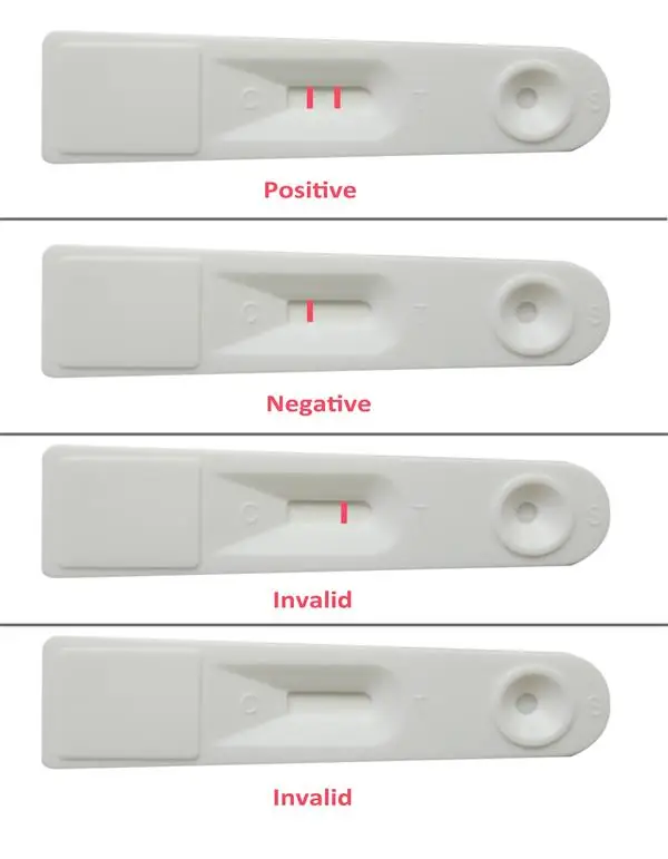 10 tage drüber test negativ - 🧡 wie man erkennt, ob delta s positiv oder n...