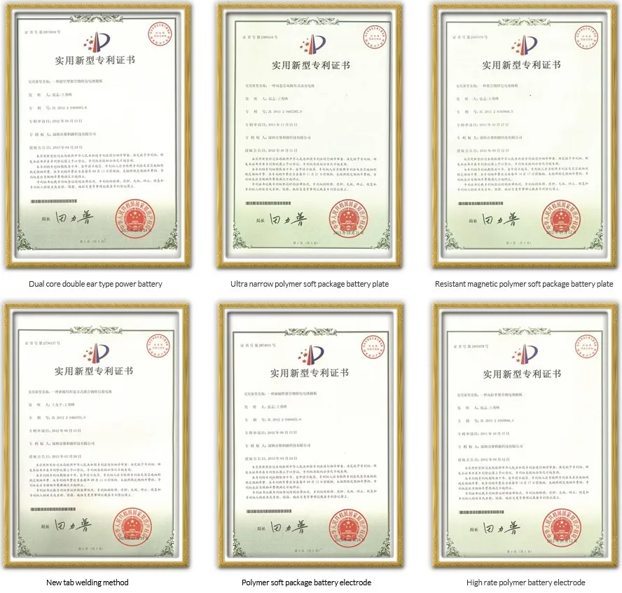Li-polymer Battery, Lithium polymer Rechargeable Battery Manufacturer