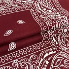 Custom Personalized Company Paisley Scarf Winter Scarf