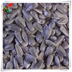 black oil sunflower oil seeds for oil or bird feed for sale